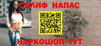 стафф Можга