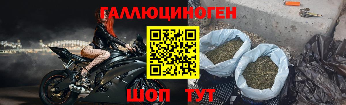 Азнакаево  Галлюциногенные грибы GOLDEN TEACHER  где найти   Вход с VPN 